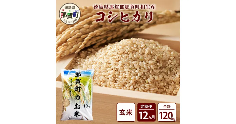 【ふるさと納税】【お米の定期便12回】那賀町のお米 コシヒカリ (玄米) 10kg×12回 計120kg【徳島県 那賀町 相生 国産 玄米 コシヒカリ 10kg 10キロ 120kg 120キロ 産地直送】YS-29