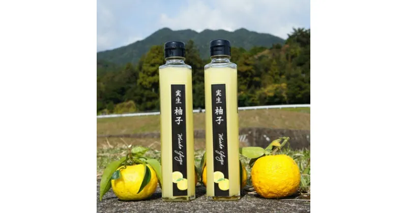 【ふるさと納税】実生ゆず果汁　200ml 2本入り【配送不可地域：離島】【1135669】