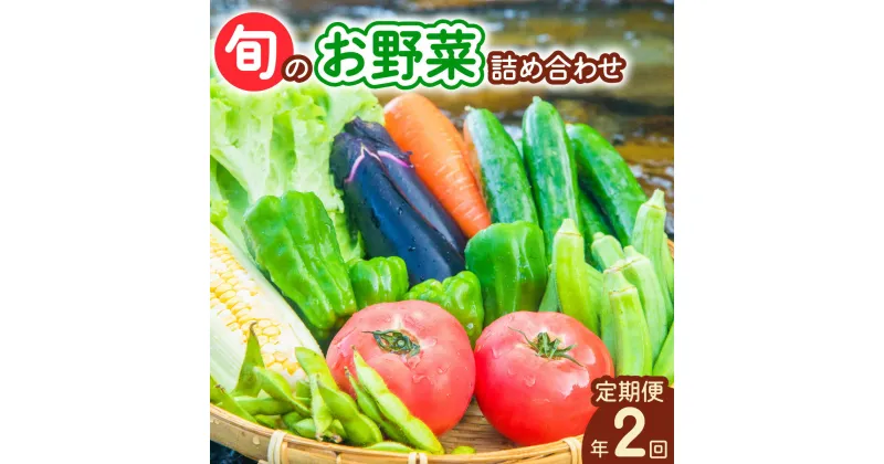 【ふるさと納税】 【定期便年2回】阿波の国海陽町 旬のお野菜詰め合わせセット 8～12品×2回 野菜 定期便 野菜定期便 年2回 徳島県 海陽町産 野菜セット 詰め合わせ 4-5名様以上 向け 季節の野菜 やさい 産地直送 新鮮 採れたて お試し