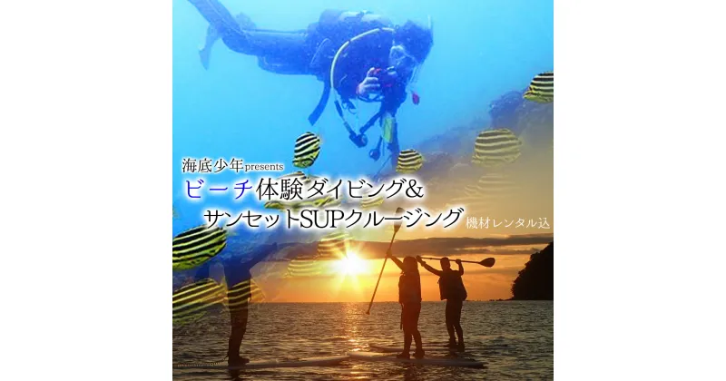 【ふるさと納税】 体験 ダイビング ビーチ SUP サンセットクルージング (1名様分/器材レンタル込) 海底少年 ダイビング アクティビティ マリンアクティビティ サップ マリンスポーツ 海 四国 徳島 徳島県 海陽 海陽町