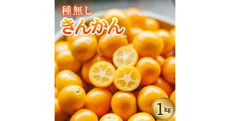 【ふるさと納税】 先行予約 きんかん 種なし 約1kg キンカン 種無し 金柑 たねなし 徳島 【2025年1月下旬以降順次発送】