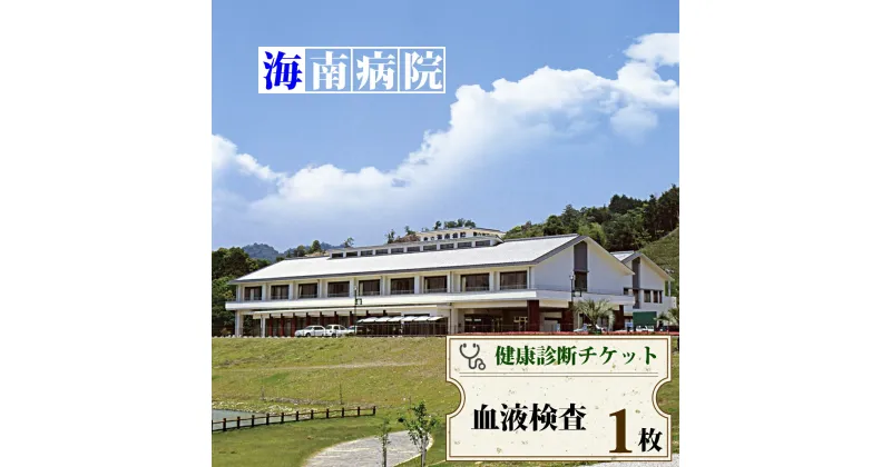 【ふるさと納税】 血液検査チケット（1名様分） 海陽町立海南病院 健康診断 健康状態