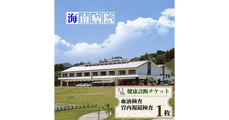 【ふるさと納税】 胃内視鏡検査・血液検査チケット（1名様分） 海陽町立海南病院 健康診断 健康状態