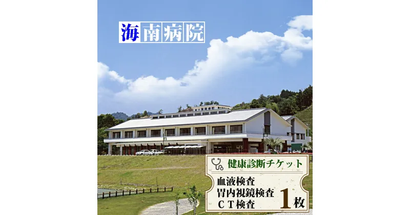 【ふるさと納税】 胃内視鏡・CT・血液検査チケット（1名様分） 海陽町立海南病院 健康診断 健康状態