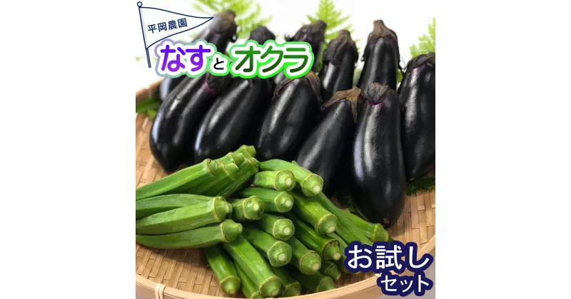 【ふるさと納税】 先行予約 夏野菜 詰め合わせ お試し セット なす おくら 野菜 茄子 ナス オクラ 産地直送 天敵栽培 【2025年7月以降順次発送】