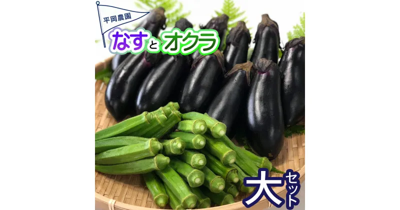 【ふるさと納税】 先行予約 夏野菜 詰め合わせ 大セット なす おくら 野菜 茄子 ナス オクラ 産地直送 天敵栽培 【2025年7月以降順次発送】