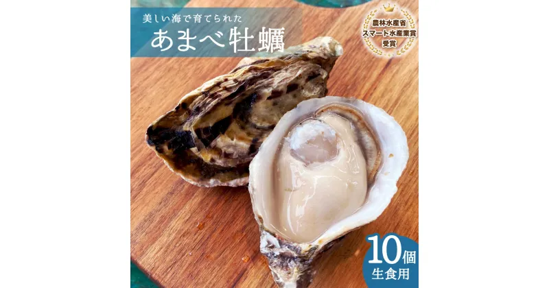 【ふるさと納税】 あまべ牡蠣 10個 牡蠣 シングルシード 生食用 殻付き かき カキ オイスター 生ガキ 生牡蠣 生がき 生かき ギフト 貝 旨味 【年内配送】