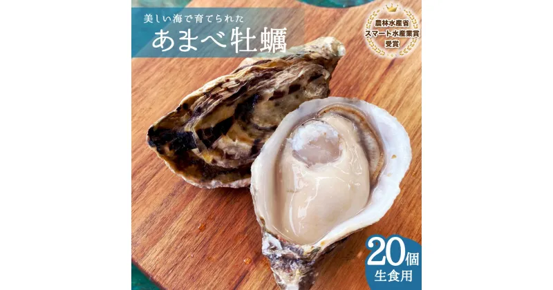 【ふるさと納税】 あまべ牡蠣 20個 牡蠣 シングルシード 生食用 殻付き かき カキ オイスター 生ガキ 生牡蠣 生がき 生かき ギフト 貝 旨味 【年内配送】