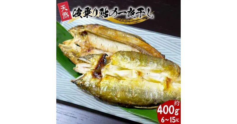 【ふるさと納税】天然波乗り鮎の一夜干し 約400g 6～15尾 干物 一夜干し 鮎 天然 熟成 あゆ アユ 天然鮎 清流 海部川 川魚 簡単調理 冷凍