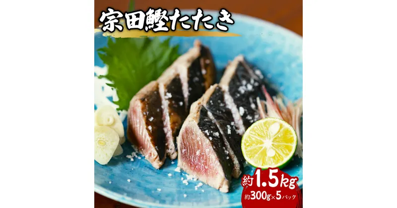 【ふるさと納税】 ヒラソウダ たたき 約1.5kg 約300g×5パック 鰹 カツオ かつお 宗田鰹 宗太鰹 ソウダガツオ そうだがつお スマ すま 冷凍