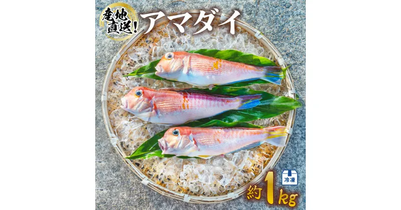 【ふるさと納税】 アマダイ 約1kg 冷凍 下処理済み 松笠揚げ 甘鯛 あまだい 水揚げ時重量約1kg 下処理後約900g エラ内臓除去 うろこ付き