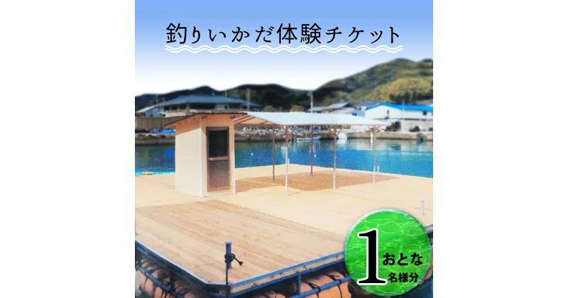 【ふるさと納税】 釣り 釣りいかだ1日ご利用券 徳島 海陽町 浅川 魚釣り 体験