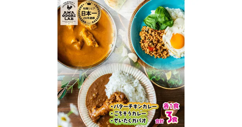 【ふるさと納税】旅する阿波尾鶏シリーズ 3種 各1食入 計3食 バターチキンカレー ごちそうカレー ぜいたくガパオ カレー ガパオ 常温 レトルト 父の日