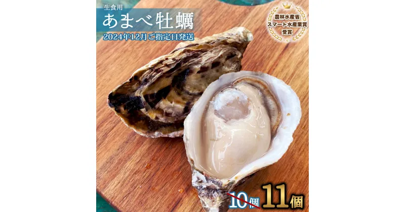 【ふるさと納税】先行予約 あまべ牡蠣 11個 牡蠣 シングルシード 生食用 殻付き かき カキ オイスター 生ガキ 生牡蠣 生がき 生かき ギフト 貝 旨味 【2024年12月発送】