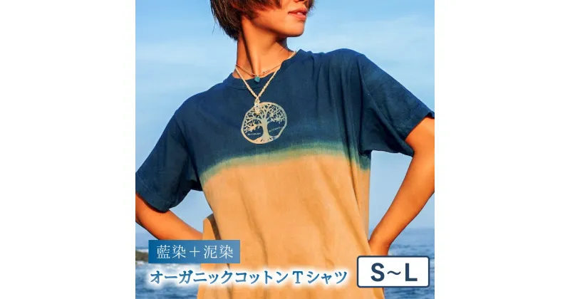 【ふるさと納税】 Tシャツ 藍染 泥染 S-Lサイズ オーガニックコットン 藍 藍染め 泥染め 宍喰祇園染 天然染料