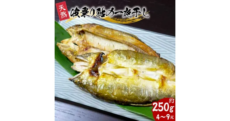 【ふるさと納税】先行予約 天然波乗り鮎の一夜干し 約250g 4～9尾 干物 一夜干し 鮎 天然 熟成 あゆ アユ 天然鮎 清流 海部川 川魚 簡単調理 冷凍 【2024年8月以降にお届け】