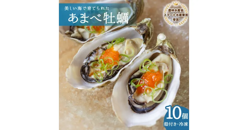 【ふるさと納税】 あまべ牡蠣 冷凍 10個 約600g 牡蠣 シングルシード 生食用 殻付き かき カキ オイスター 生ガキ 生牡蠣 生がき 生かき