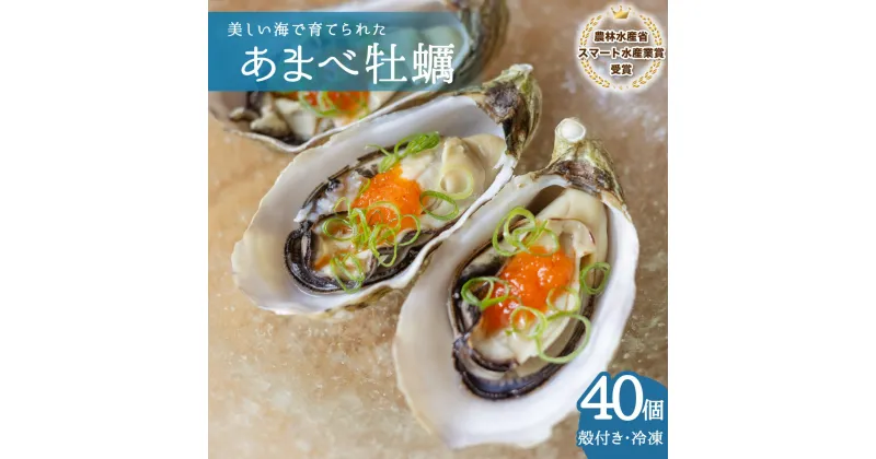 【ふるさと納税】 あまべ牡蠣 冷凍 40個 約2.4kg 牡蠣 シングルシード 生食用 殻付き かき カキ オイスター 生ガキ 生牡蠣 生がき 生かき