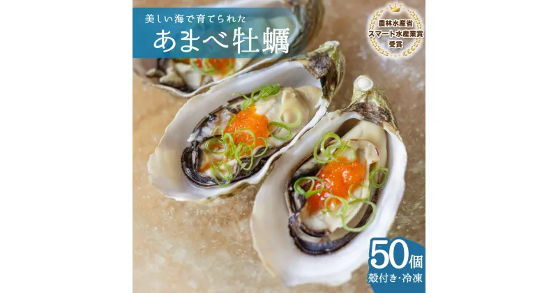 【ふるさと納税】 あまべ牡蠣 冷凍 50個 約3.0kg 牡蠣 シングルシード 生食用 殻付き かき カキ オイスター 生ガキ 生牡蠣 生がき 生かき