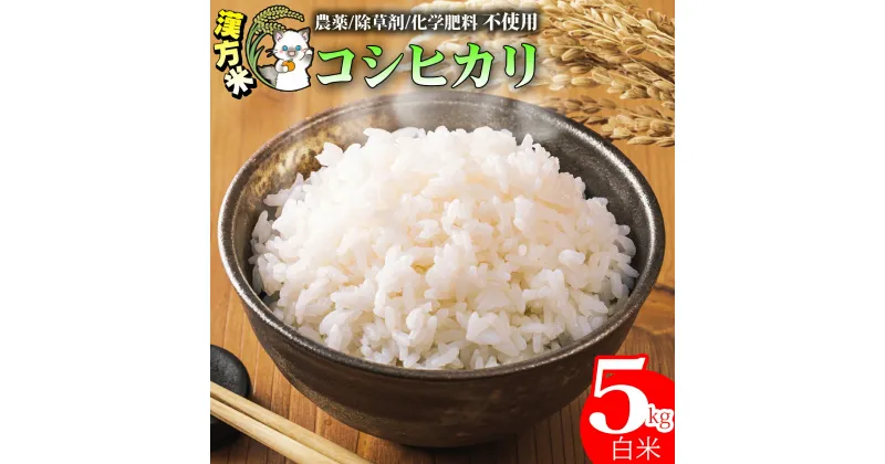 【ふるさと納税】 漢方米 白米 5kg こしひかり 漢方未来農法 漢方 【化学肥料不使用】