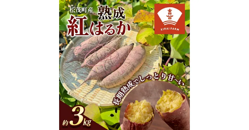 【ふるさと納税】喜来やさい園の熟成紅はるか 3kg　野菜・イモ・野菜・サツマイモ・さつまいも　お届け：2024年11月下旬～2025年3月下旬まで