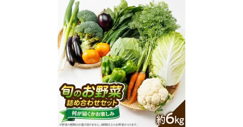 【ふるさと納税】【旬のお野菜詰め合わせセット6kg】濱くんちのお野菜から旬のお野菜が届くお楽しみBOX【配送不可地域：離島】【1475189】